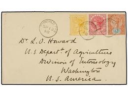CEILAN. Sg.88, 92, 133. 1898. PUNDALUOYA To U.S.A. Envelope Franked With 3 Cts. Brown, 4 Cents. Red And 8 Cents. Yellow  - Andere & Zonder Classificatie