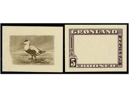 GROENLANDIA. 1945. PLATE PROOFS On Card. AMERICAN BANK NOTE. Complete Set With 9 Proofs Of The Marks And 6 Of The Centre - Andere & Zonder Classificatie