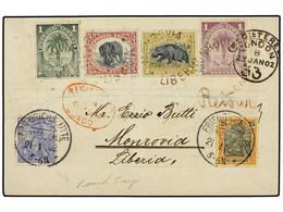 LIBERIA. 1902. MONROVIA To GERMANY And Return. This Registered Picture Post Card Originated At Monrovia Sometime In 1901 - Altri & Non Classificati