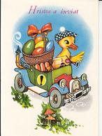 MUSHROOMS, DUCKLING IN A CAR, PAINTED EGGS POST CARD STATIONERY ROMANIA - Mushrooms