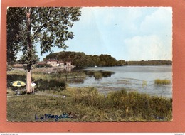 Delcampe - DIEUSE   ETANG DU LINDRE - Dieuze