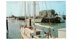 CHARLESTON, South Carolina, USA, New Municipal Marina, 196? Chrome Advertising  Postcard - Charleston