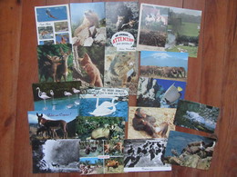 Lot De 20 Cartes D' Animaux   Oiseaux, Renard, Biche, Marmotte, âne, Ect... - 5 - 99 Cartes