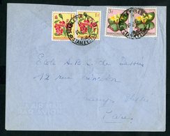 CONGO BELGE "STANLEYVILLE - 1  B 19/2/58" Sur N° 310 (x2) + 314 (x2). Sur Enveloppe Par Avion Pour La France - Storia Postale