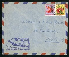 CONGO BELGE "STANLEYVILLE M 30/10/58" Sur N° 310 + 317. Sur Enveloppe Par Avion Pour La France - Lettres & Documents