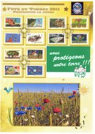 Très Rare Car Perso : " FDT 2011 : LE TIMBRE FETE LA TERRE " Sur Document A4 1er Jour De 2011 N° YT Adh 528 à 537 - Milieubescherming & Klimaat