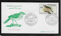 Thème Oiseaux - Madagascar - Enveloppe - Autres & Non Classés