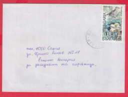 248992 / 1999 - 18 St. BIRD Mistle Thrush (Turdus Viscivorus) Egg Insect Lepidoptera , Yablanitsa - SOFIA , Bulgaria - Covers & Documents