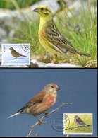 49910 Luxembourg,  2 Maximum Europa 2019 Oiseau, Bird, Vogel (emberiza Citrinella/linaria Cannabina) - Maximum Cards