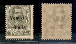 Venezia Giulia - 1918 - 45 Cent (26) - Gomma Integra - Sonstige & Ohne Zuordnung