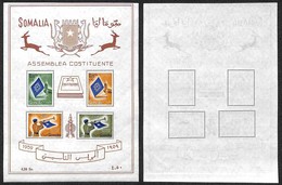 Somalia A.F.I.S. - 1959 - Foglietto Assemblea Costituente (1) - Gomma Integra (25) - Sonstige & Ohne Zuordnung