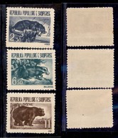 ALBANIA - 1961 - Animali (627/629) - Serie Completa - Gomma Integra - Altri & Non Classificati