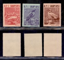 ALBANIA - 1961 - Uccelli (630/632) - Serie Completa - Gomma Integra - Altri & Non Classificati