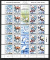 SERBIA E MONTENEGRO - 2005 - Animali Protetti (3231/3234) - Minifoglio Di 20 - Gomma Integra - Sonstige & Ohne Zuordnung