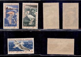 MAURITANIA - 1961 - Uccelli (178/180) - Serie Completa - Gomma Integra - Sonstige & Ohne Zuordnung