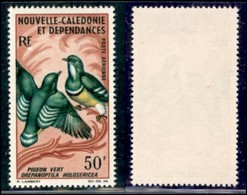 NUOVA CALEDONIA - 1967 - 50 Franchi Piccioni (454) - Gomma Integra - Sonstige & Ohne Zuordnung