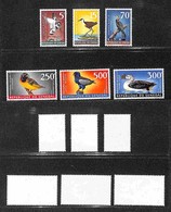 SENEGAL - 1968 - Uccelli (378/383) - Serie Completa - Gomma Integra (44) - Sonstige & Ohne Zuordnung