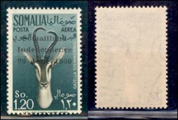 SOMALIA - 1960 - 1 .20 Somali Soprastampato (3) - Gomma Integra (36) - Sonstige & Ohne Zuordnung