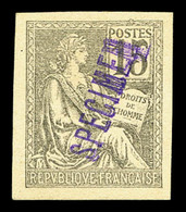 (*) N°117, Mouchon 15c Gris Sur Bristol Surchargé SPECIMEN Violet. SUP  Qualité: (*) - Ungebraucht