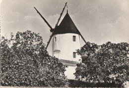 NOIRMOUTIER. - Le Moulin De La Bosse. CPM  RARE - Noirmoutier