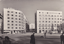 SERBIE,BEOGRAD,CARTE PHOTO - Serbia