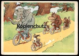 ÄLTERE POSTKARTE HIPPOS ELEFANTEN VERMENSCHLICHT Nilpferd Fahrrad Elephant Elephants Tusker Hippopotame Elefant Bike Cpa - Nijlpaarden