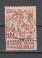 COB 87 Oblitération Centrale JEHAY-BODEGNEE +30 - 1910-1911 Caritas