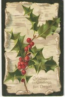 Carte Postale Ancienne De Noël/Christmas Greetings From Oregon/Houx/ Astoria /USA//Montréal / Canada / 1908   CVE170 - Andere & Zonder Classificatie
