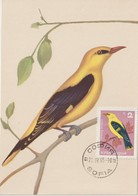 Bulgarie Carte Maximum Oiseaux 1965 Loriot 1316 - Briefe U. Dokumente