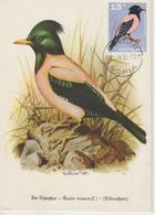 Bulgarie Carte Maximum Oiseaux 1965 Martin Roselin 1321 - Lettres & Documents