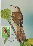 Bulgarie Carte Maximum Oiseaux 1965 Rossignol 1322 - Storia Postale