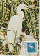 Bulgarie Carte Maximum Oiseaux 1968 Aigrette 1628 - Brieven En Documenten