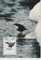Bulgarie Carte Maximum Oiseaux 1987 Cinclus 3130 - Lettres & Documents
