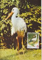 Bulgarie Carte Maximum Oiseaux 1988 Cigogne 3223 - Storia Postale