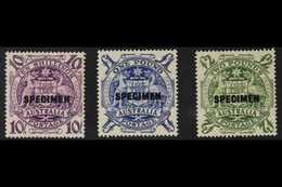 1949-50 Coat Of Arms High Values Set (10s, £1 And £2) Overprinted "SPECIMEN", SG 224bs/24ds, Very Fine Mint. (3 Stamps)  - Autres & Non Classés
