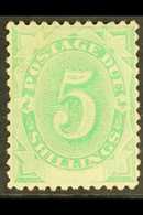 POSTAGE DUES 1902 5s Emerald Green, White Space At Foot, SG D8, Very Fine Mint. For More Images, Please Visit Http://www - Other & Unclassified