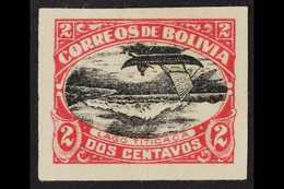 1916-17 Lake Titicaca 2c Carmine And Black, Imperf, With CENTRE INVERTED, Scott 113d, Fine Unused (no Gum). For More Ima - Bolivien