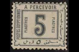 1888 POSTAGE DUE 5pi Grey, SG D70, Type IV, Fine Mint. For More Images, Please Visit Http://www.sandafayre.com/itemdetai - Autres & Non Classés