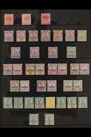 JOHORE 1884-1960 MINT COLLECTION Presented On Stock Pages That Includes Sets, Top Values, Watermark Varieties & Puncture - Otros & Sin Clasificación