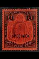 1908 £1 Purple And Black On Red, Ovptd "Specimen", SG 81s, Very Fine Mint. For More Images, Please Visit Http://www.sand - Nyasaland (1907-1953)