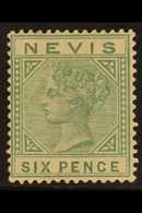 1883 6d Green, SG 32, Mint With Good Colour And Large Part Gum, Small Hinge Thin. For More Images, Please Visit Http://w - St.Christopher-Nevis & Anguilla (...-1980)