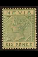 1883 6d Green, SG 32, Mint With Good Colour And Large Part Gum, Small Hinge Thin. For More Images, Please Visit Http://w - San Cristóbal Y Nieves - Anguilla (...-1980)