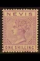 1890 1s Pale Violet, SG 34, Fine Mint. For More Images, Please Visit Http://www.sandafayre.com/itemdetails.aspx?s=648388 - St.Cristopher-Nevis & Anguilla (...-1980)