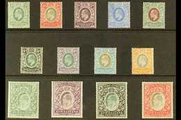 1904 KEVII Complete Set, SG 32/44, Fine Mint. Fresh And Attractive. (13 Stamps) For More Images, Please Visit Http://www - Somalilandia (Protectorado ...-1959)