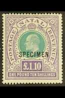 NATAL 1902 £1.10 Green And Violet Opt'd "SPECIMEN", SG 143s, Very Fine Mint. For More Images, Please Visit Http://www.sa - Ohne Zuordnung