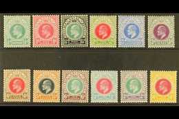 NATAL 1902-03 Set To 4s (less 2s.6d), SG 127/139, Very Fine Mint. (12 Stamps) For More Images, Please Visit Http://www.s - Unclassified