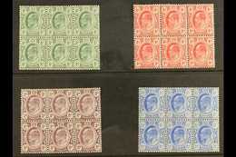 TRANSVAAL 1905-09 KEVII Set, SG 273/76, In Very Fine Mint BLOCKS OF SIX (3 X 2), At Least 4 Stamps In Each Block Never H - Ohne Zuordnung