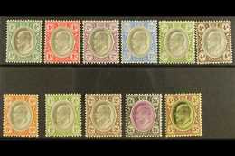 TRANSVAAL 1902 Ed VII Set To 5s Complete, SG 244/54, Very Fine Mint. (11 Stamps) For More Images, Please Visit Http://ww - Non Classificati