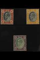 TRANSVAAL 1903 KEVII CA Wmk Set To £1, SG 256/258, Very Fine, Lightly Hinged Mint (3 Stamps) For More Images, Please Vis - Unclassified