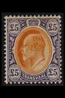 TRANSVAAL 1903 £5 Orange Brown And Violet, Ed VII, SG 259, Old Hinge Remainder, Still Fine And Scarce. Lovely Bright Col - Non Classificati